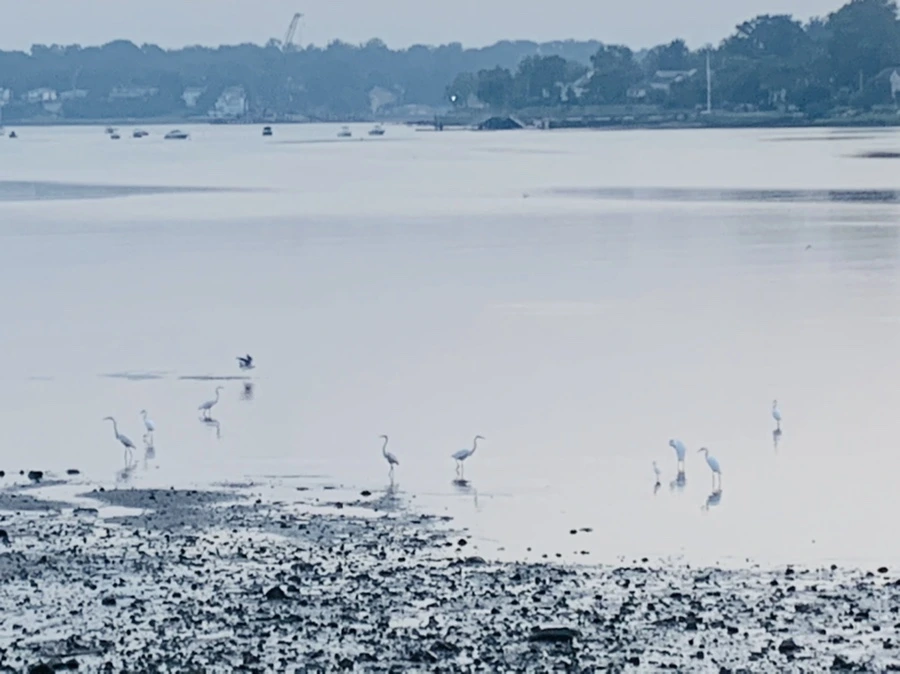 IMG_8156.jpg?type=w966