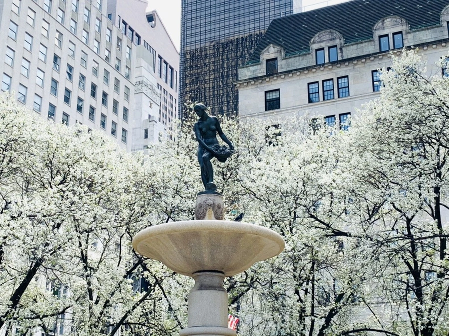 IMG_9472.jpg?type=w966