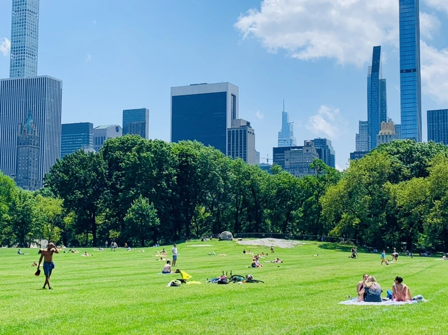 IMG_5373.jpg?type=w966