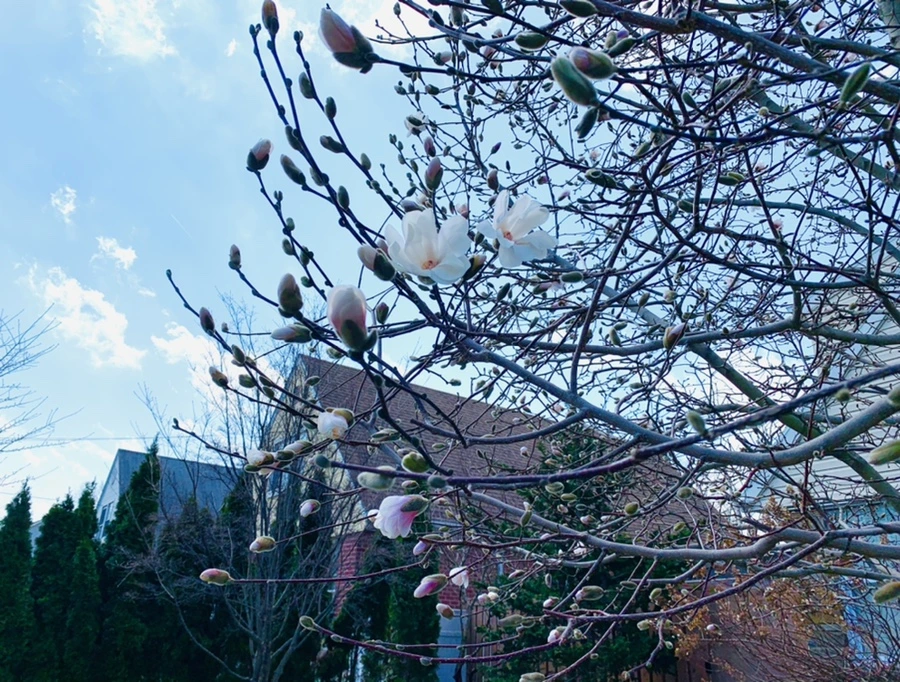 IMG_4345.jpg?type=w966