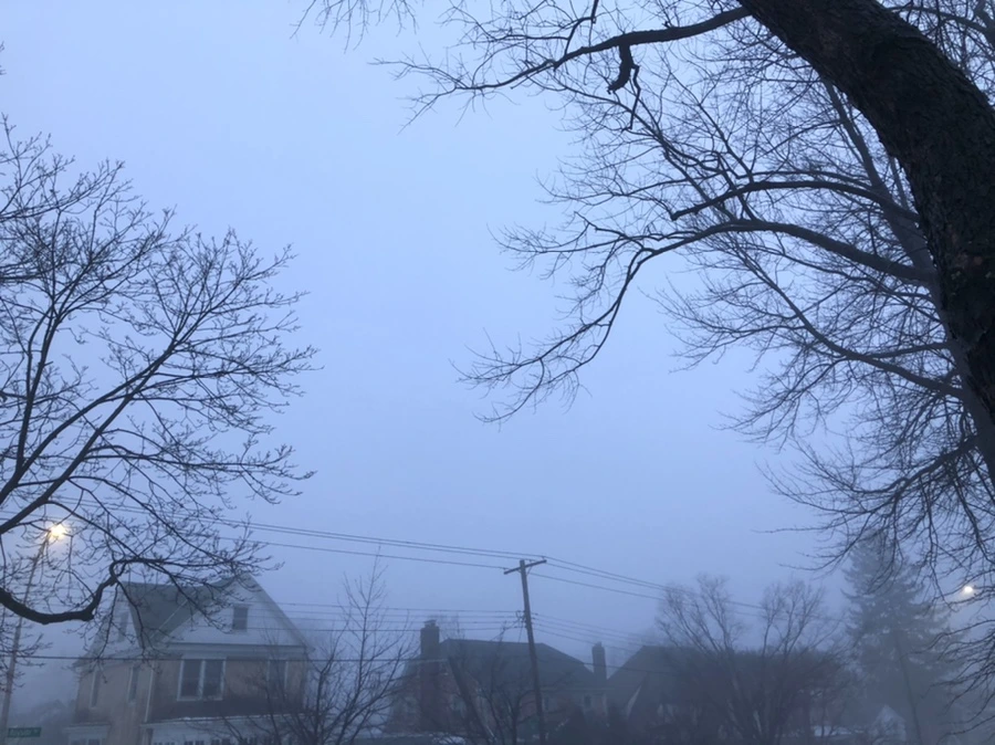 IMG_2791.jpg?type=w966