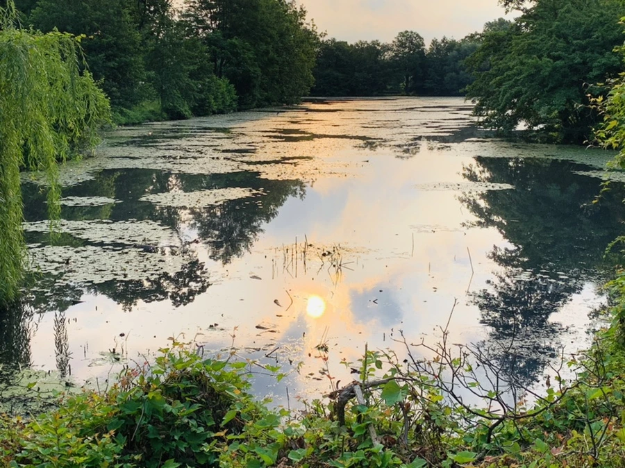 IMG_1468.jpg?type=w966