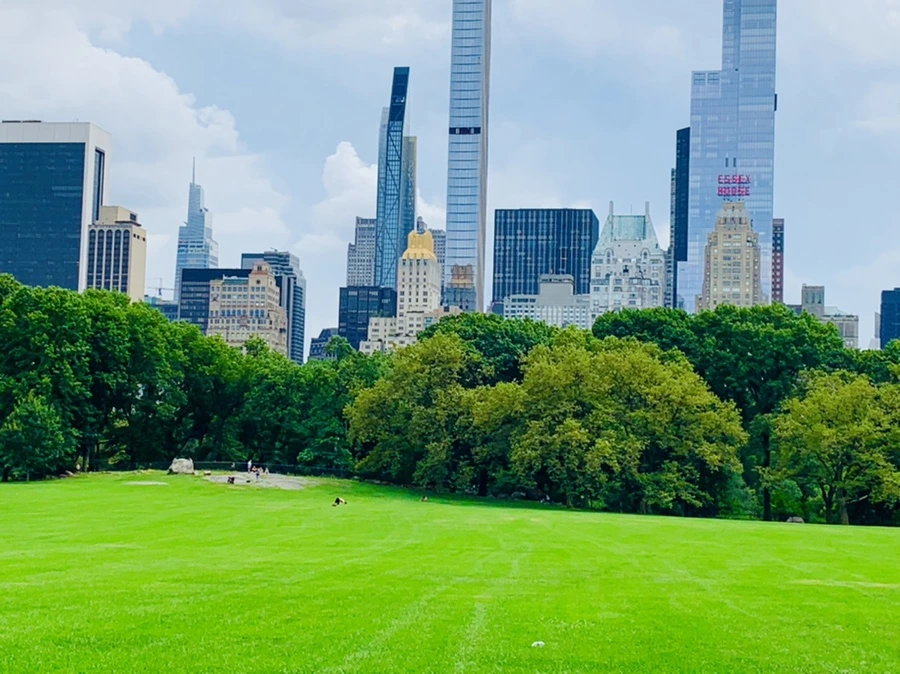 IMG_9871.jpg?type=w966