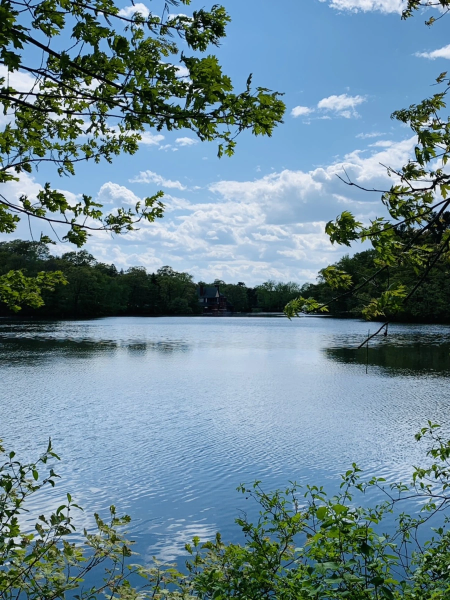 IMG_2447.jpg?type=w966