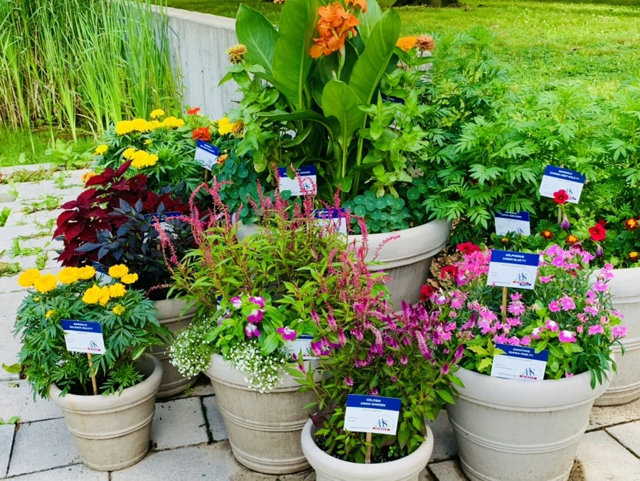 IMG_0648.jpg?type=w966