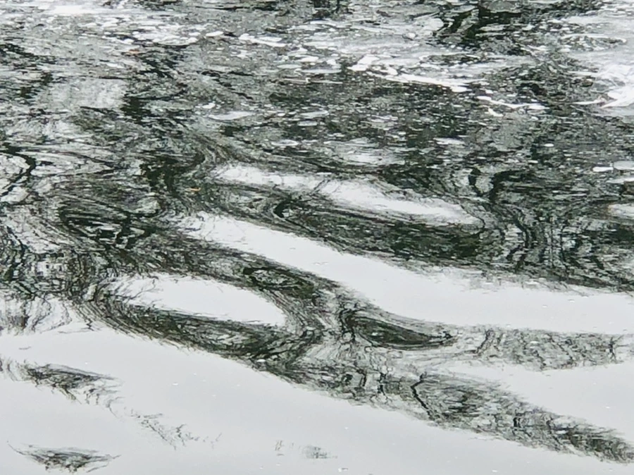 IMG_6080.jpg?type=w966