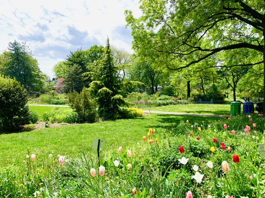 IMG_1407.jpg?type=w966