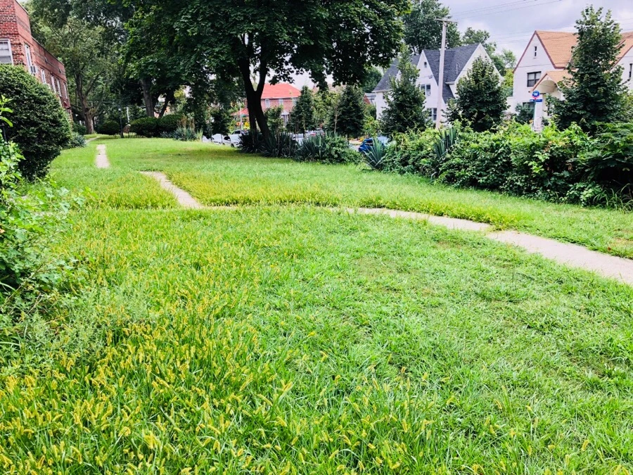 IMG_4214.jpg?type=w966