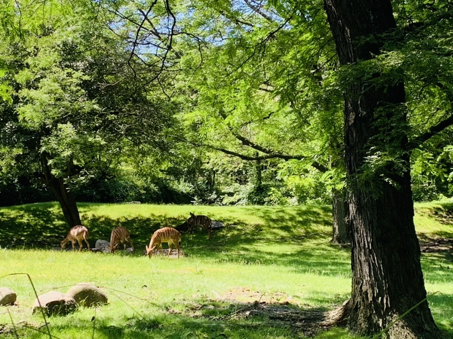 IMG_4306.jpg?type=w966