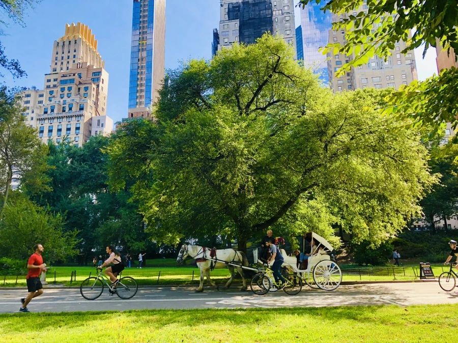 IMG_0079.jpg?type=w966