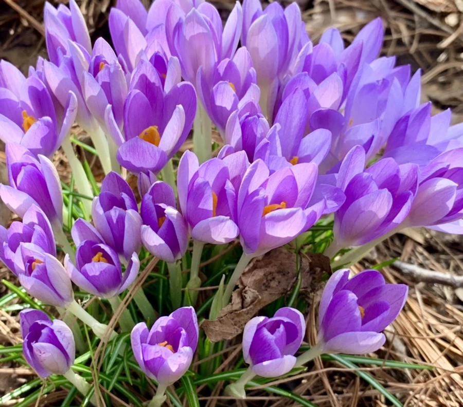 IMG_0439.jpg?type=w966