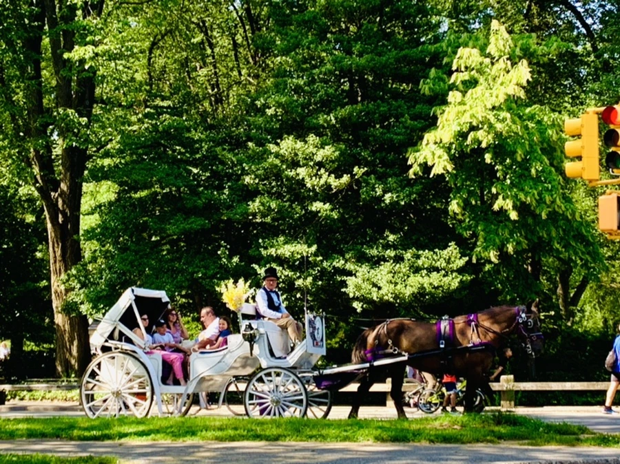 IMG_4526.jpg?type=w966