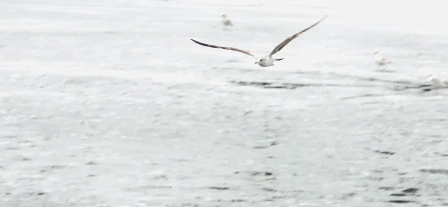 IMG_5578.jpg?type=w966