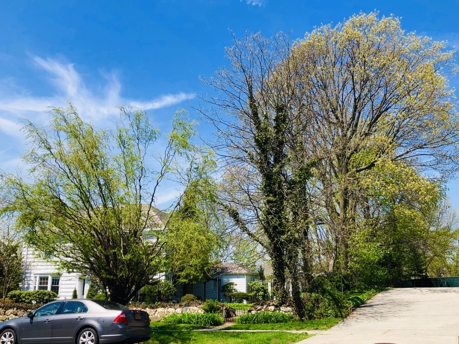 IMG_3486.jpg?type=w966