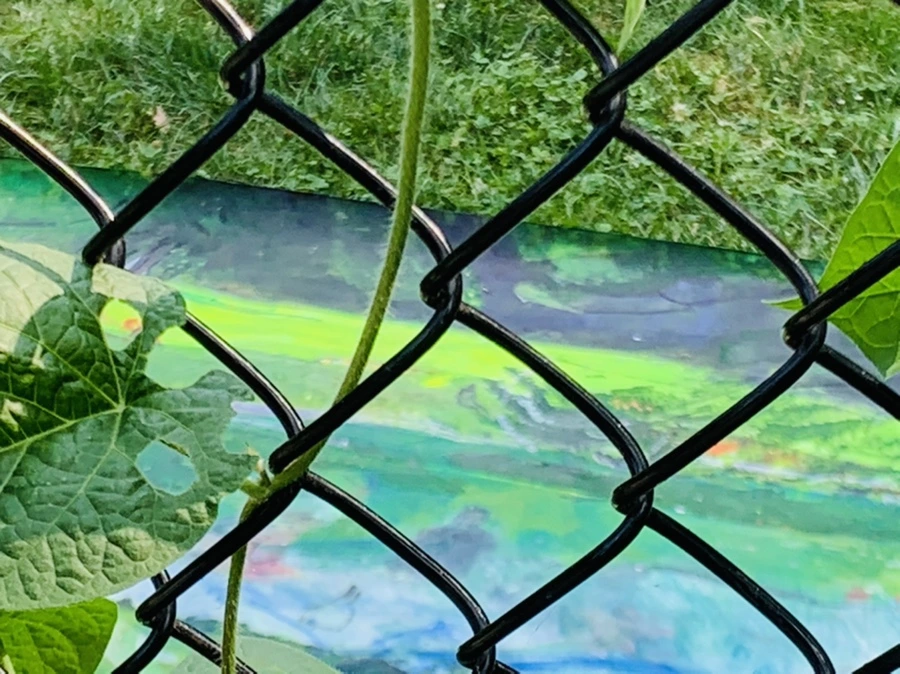 IMG_0621.jpg?type=w966