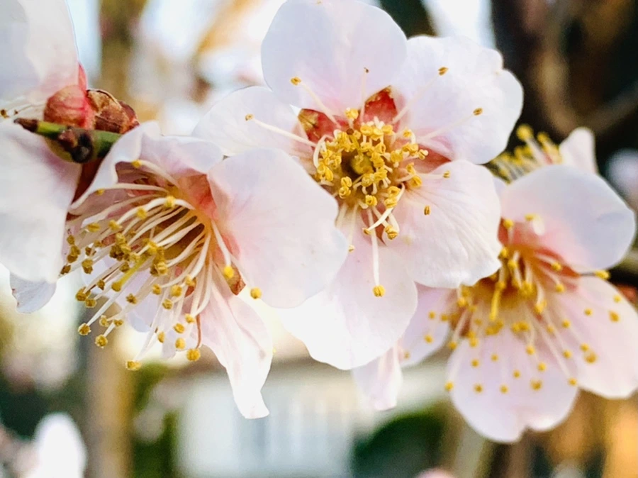 IMG_2263.jpg?type=w966