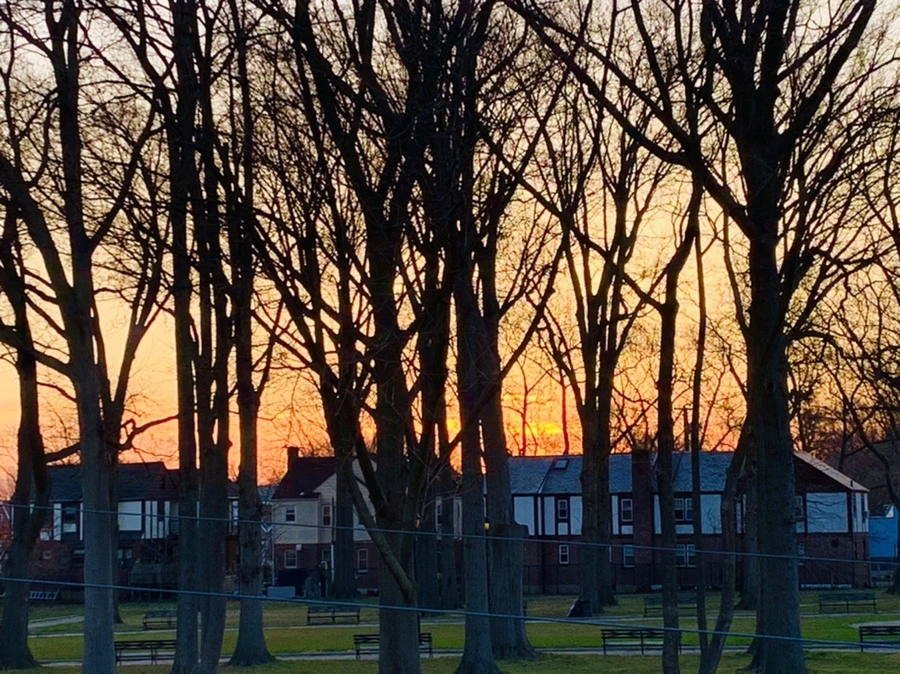 IMG_7415.jpg?type=w966