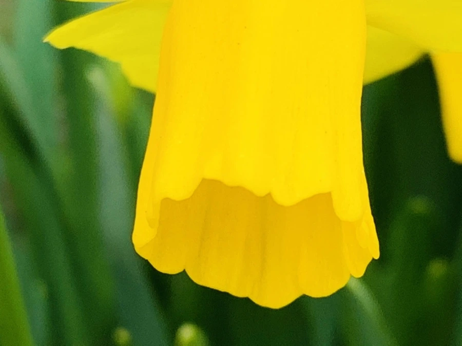 IMG_3483.jpg?type=w966