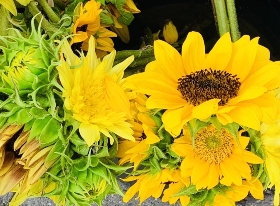 IMG_3326.jpg?type=w966