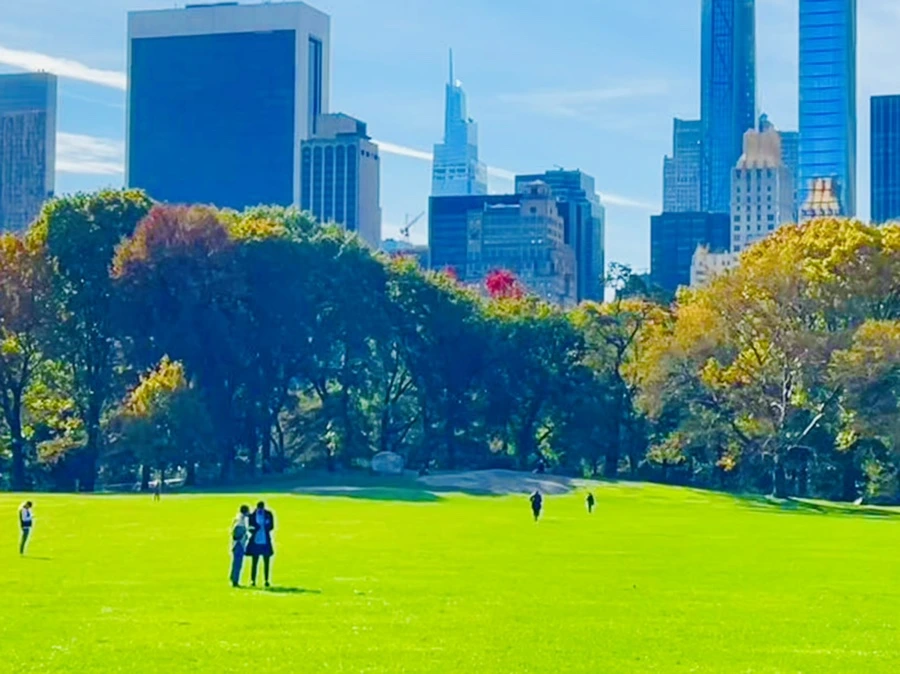 IMG_0238.jpg?type=w966