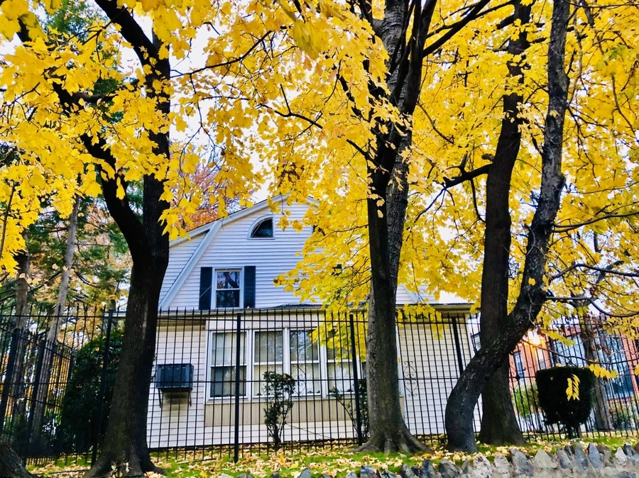 IMG_2211.jpg?type=w966