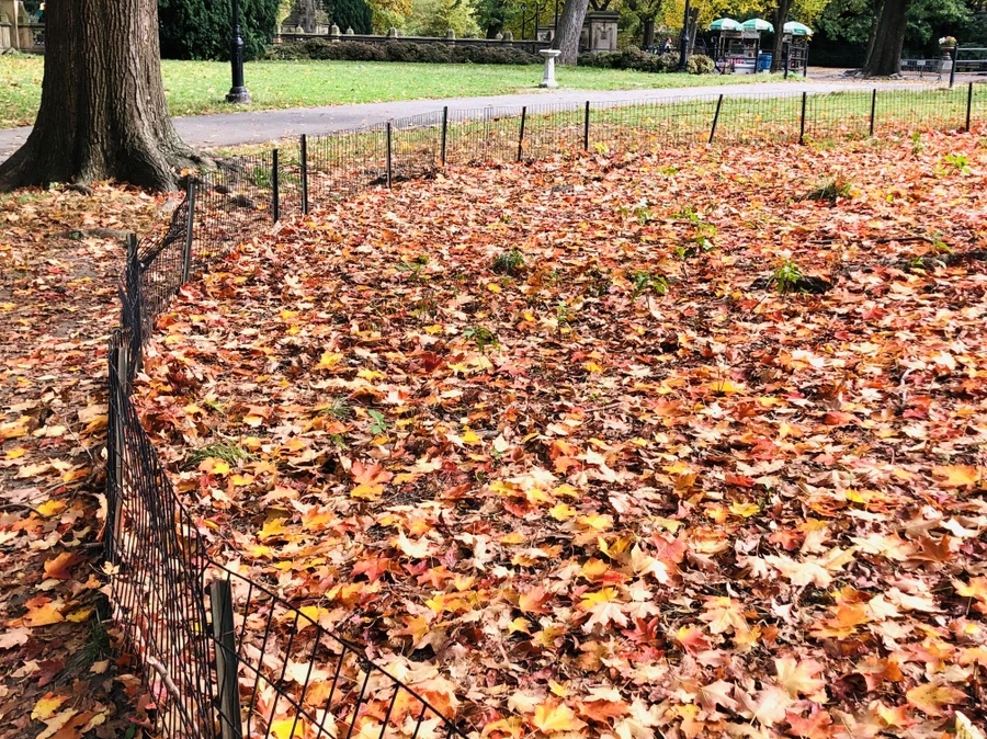 IMG_3060.jpg?type=w966