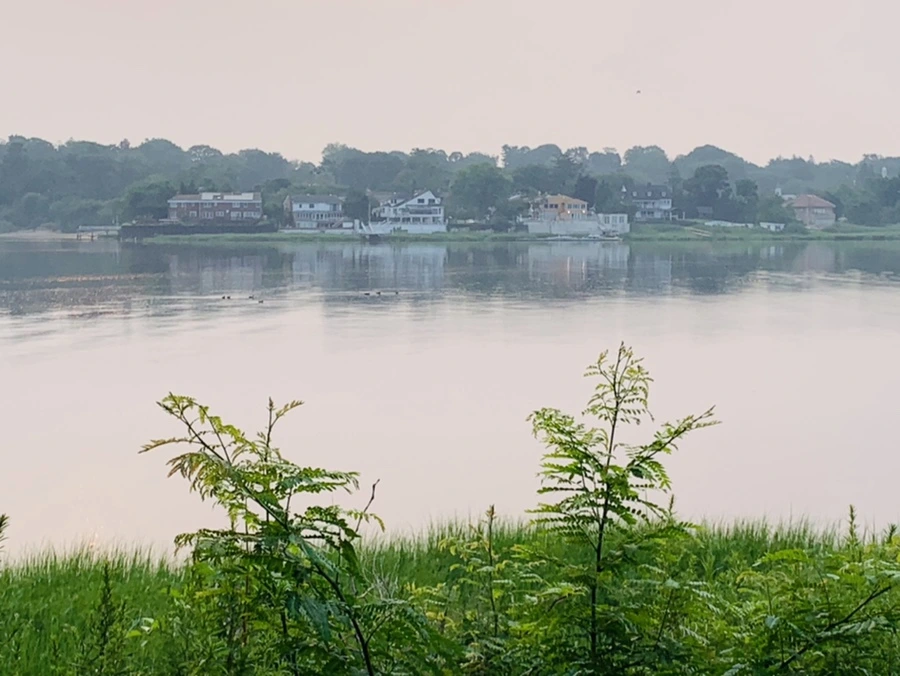 IMG_8459.jpg?type=w966