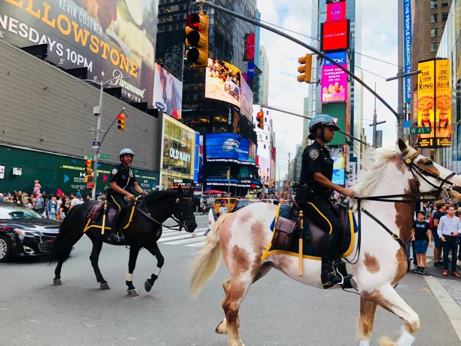 IMG_0392.jpg?type=w966