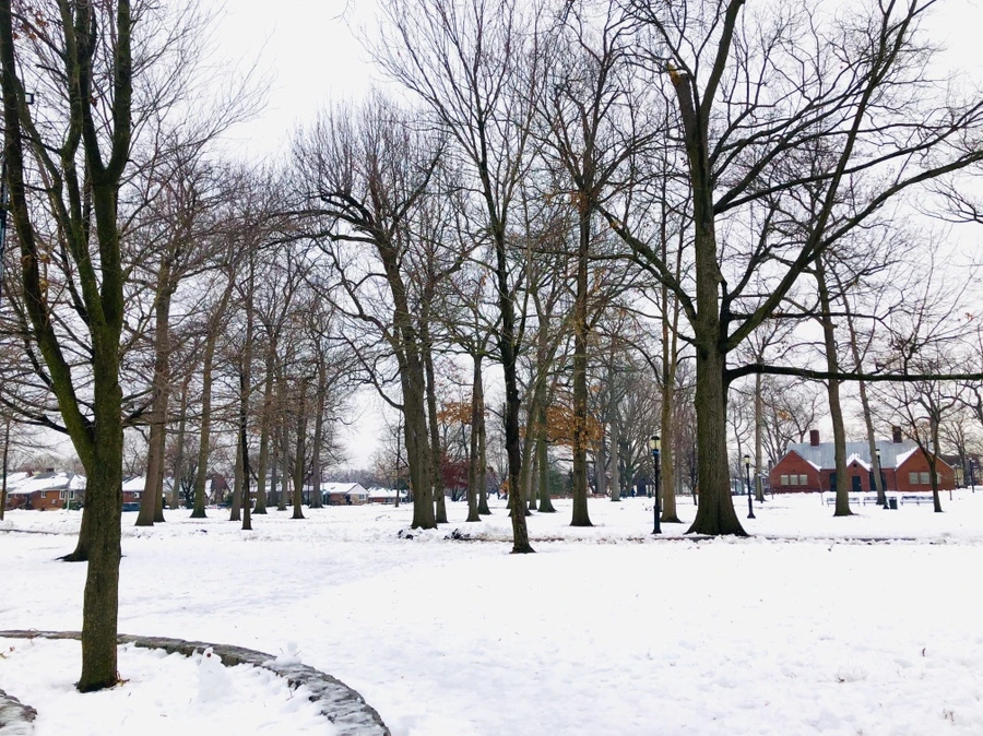 IMG_7564.jpg?type=w966