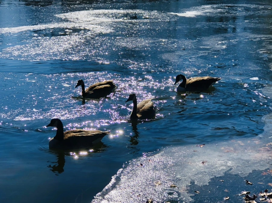 IMG_7755.jpg?type=w966