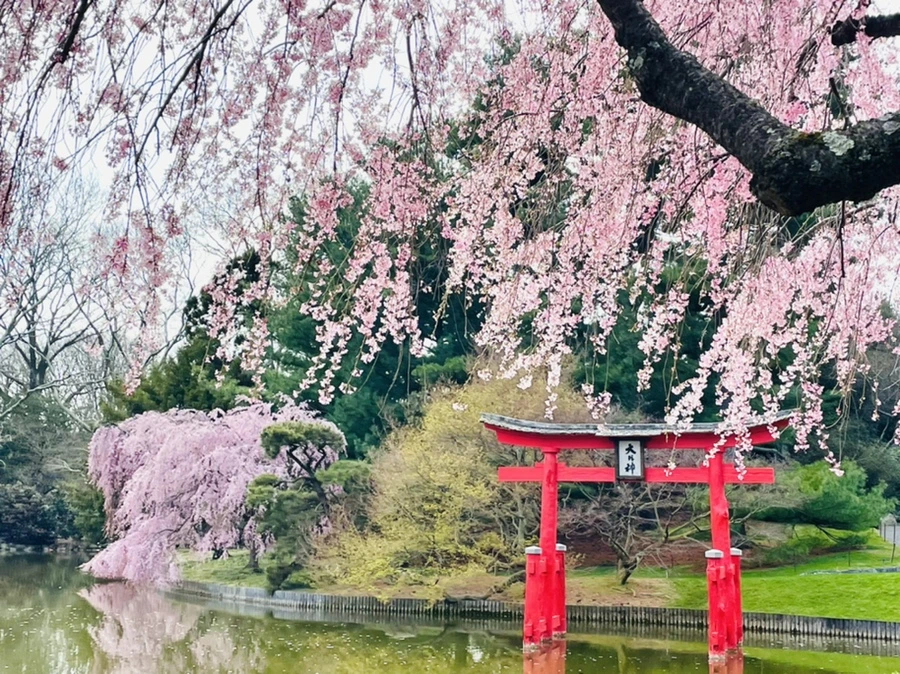 IMG_0436.jpg?type=w966