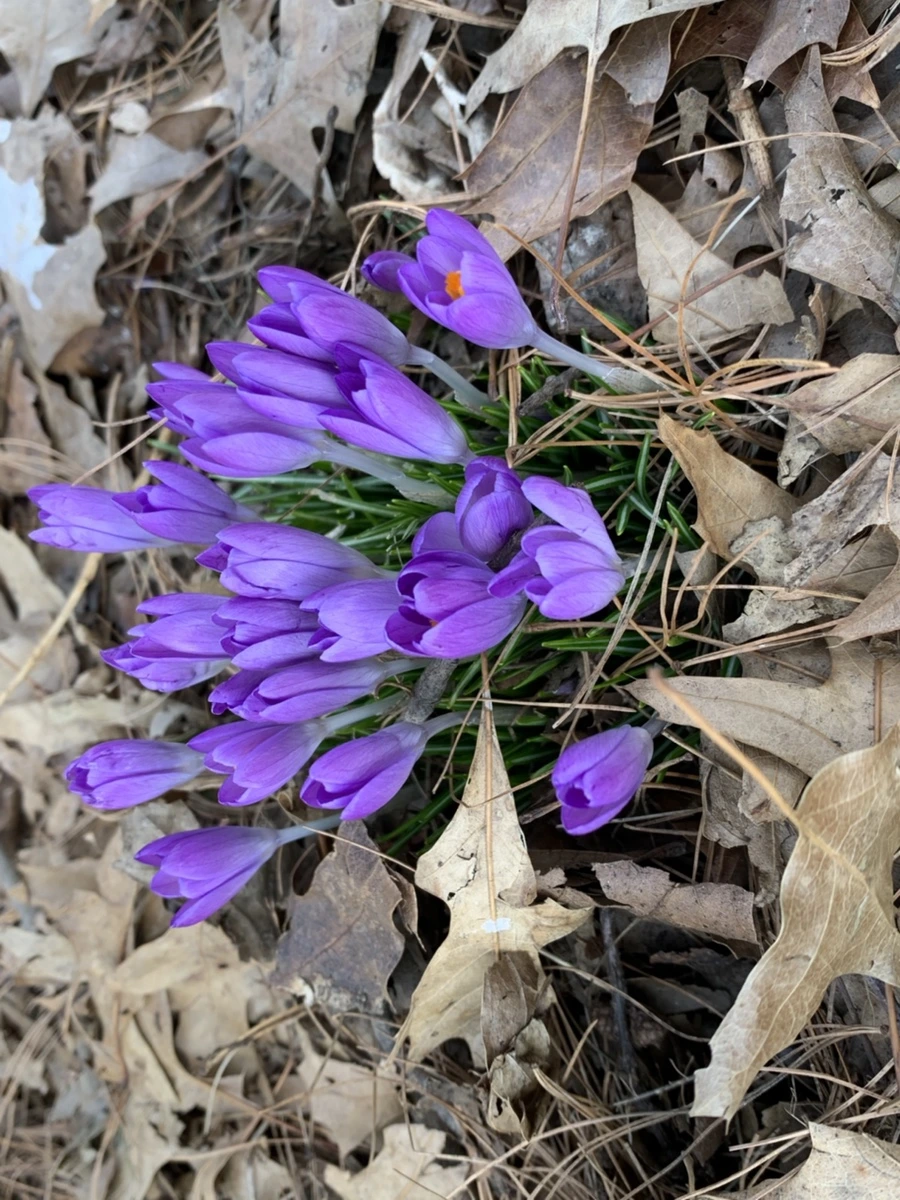 IMG_9712.jpg?type=w966