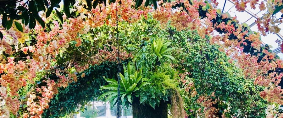 IMG_6268.jpg?type=w966