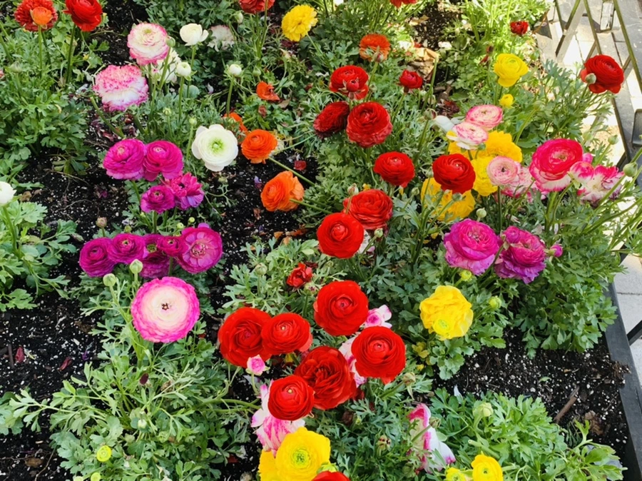 IMG_5397.jpg?type=w966