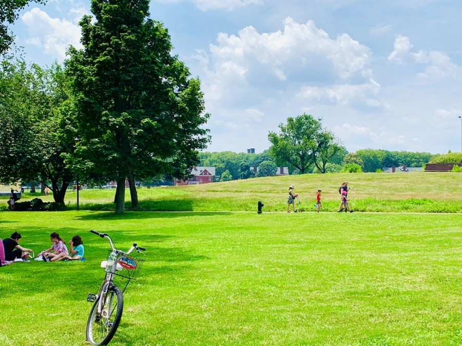 IMG_5142.jpg?type=w966