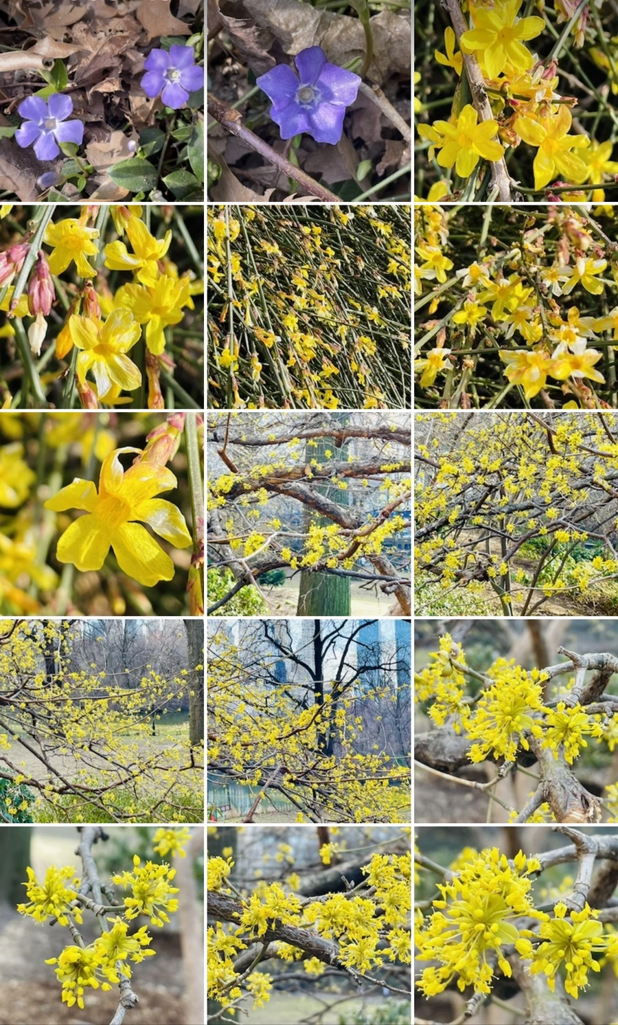 IMG_5421.jpg?type=w966