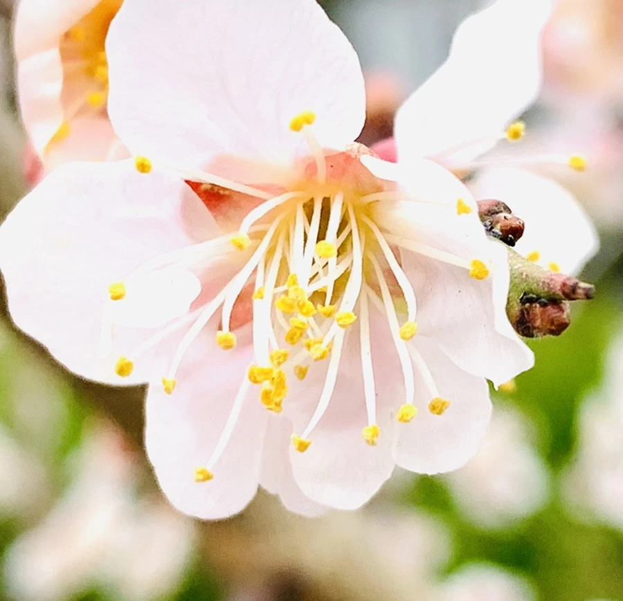 IMG_1685.jpg?type=w966