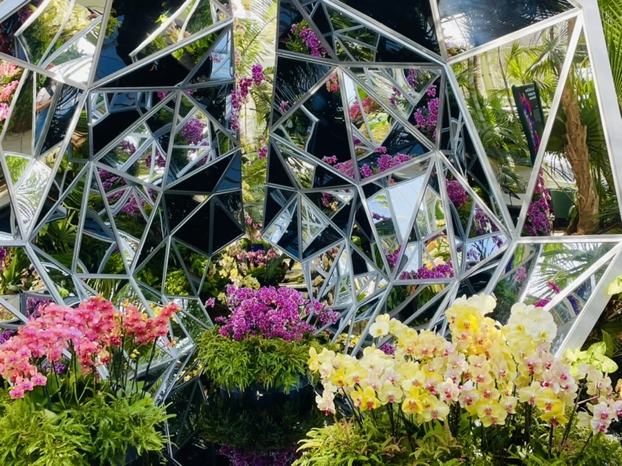 IMG_4433.jpg?type=w966