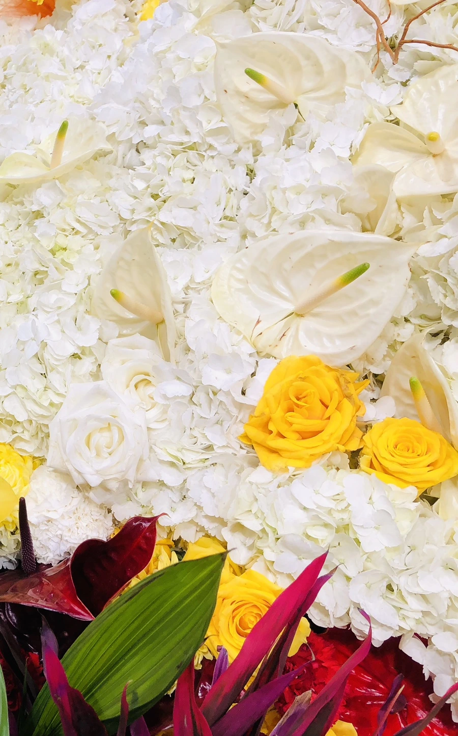 IMG_1873.jpg?type=w966