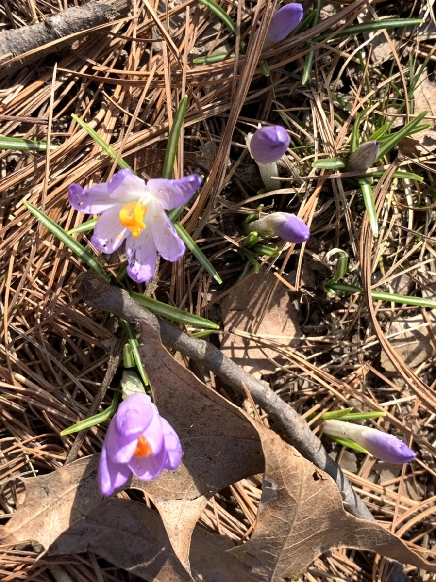 IMG_9656.jpg?type=w966