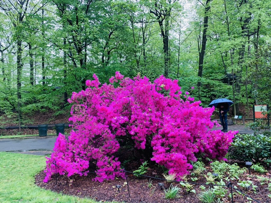 IMG_9922.jpg?type=w966