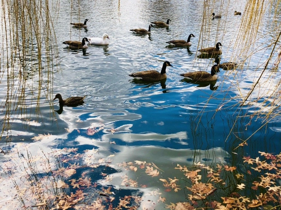 XYbURXoC0Y_CBeJFrb-a1yyGLnM