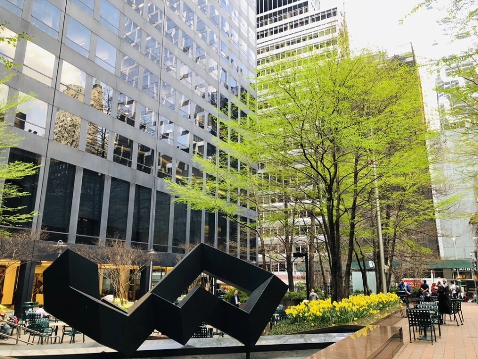 IMG_2602.jpg?type=w966