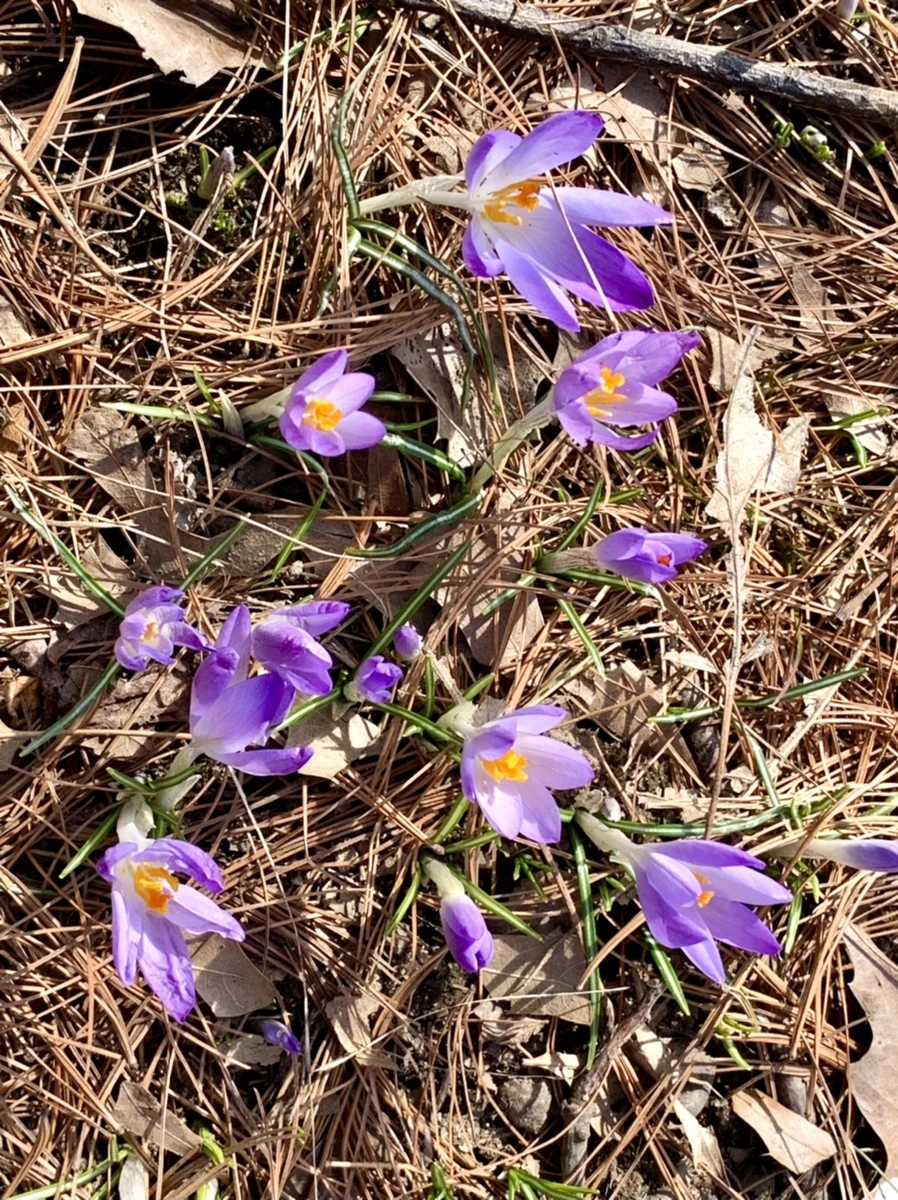 IMG_9657.jpg?type=w966