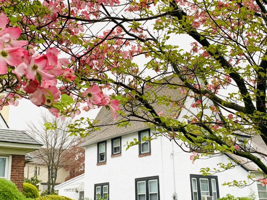 IMG_5304.jpg?type=w966