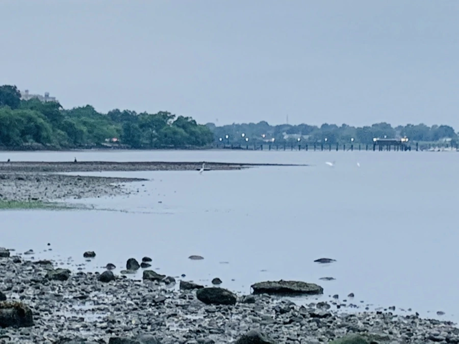 IMG_0738.jpg?type=w966