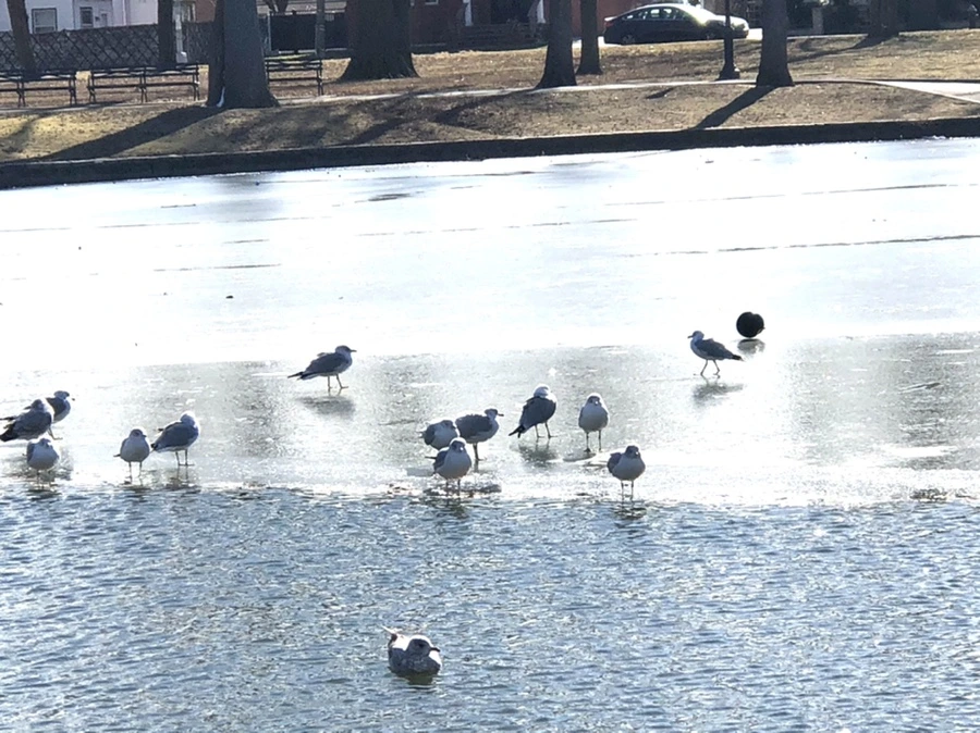 IMG_6819.jpg?type=w966