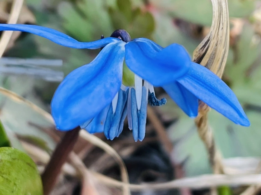 IMG_4247.jpg?type=w966