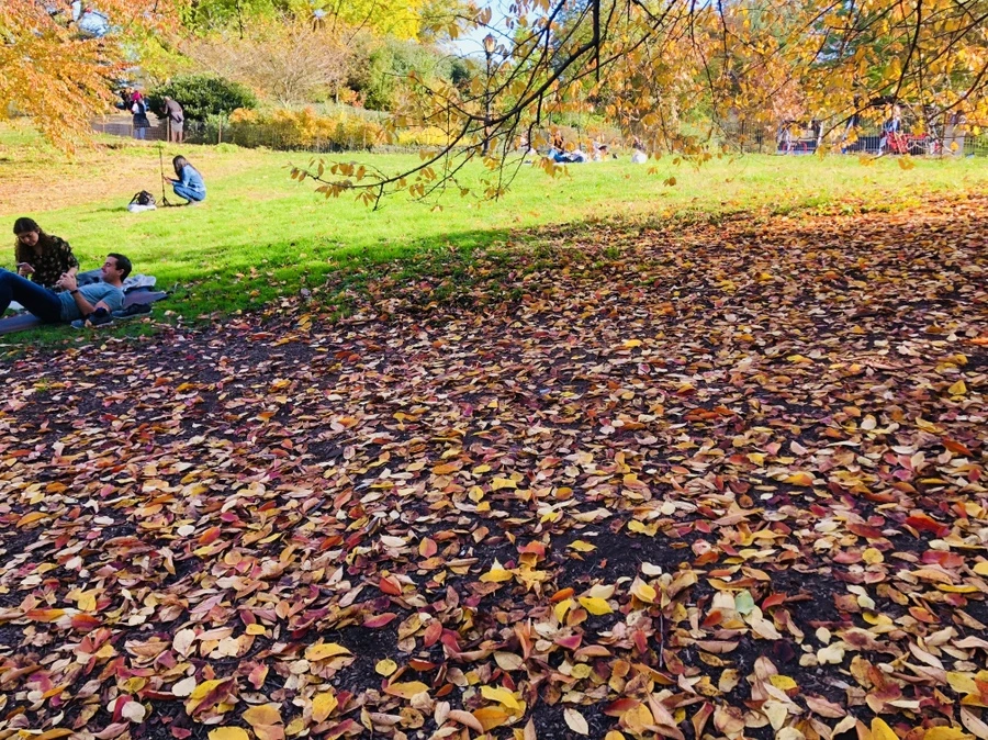 IMG_3934.jpg?type=w966