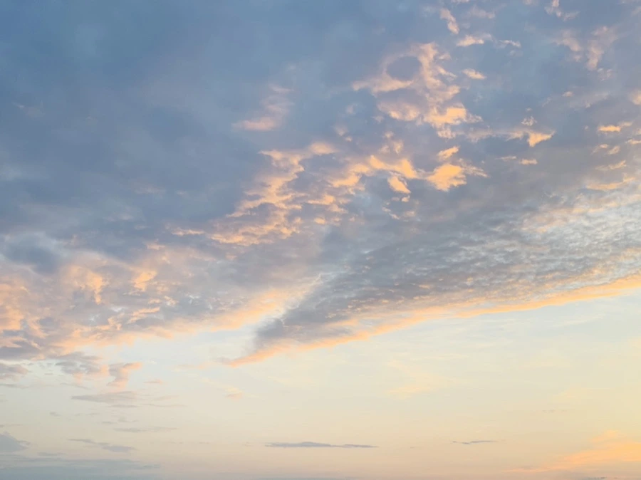 IMG_1202.jpg?type=w966